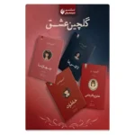 خرید مجموعه 4 جلدی گلچین عشق لانگ لیو